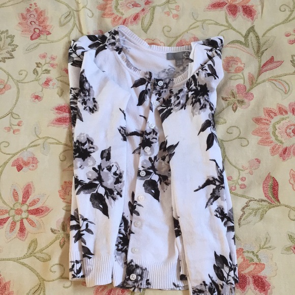 Jacket from Sears - Picture 2 of 5